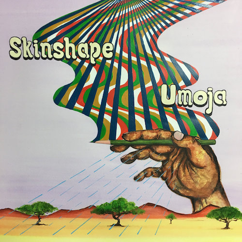 http://www.lewisrecordings.com/shop/index.html#skinshape